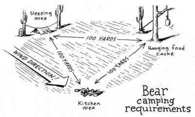 Bear camping requirements with distances